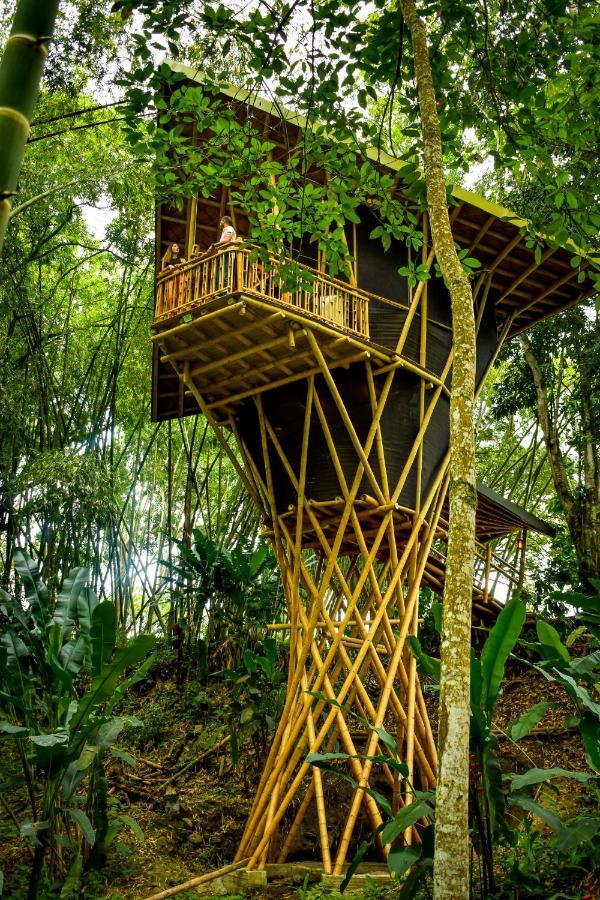 Eco Hotel Hacienda El Diamante Буга Экстерьер фото